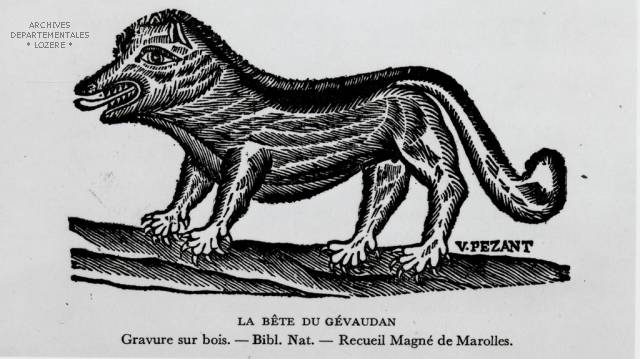 AD48_gravure_bete_7.jpg