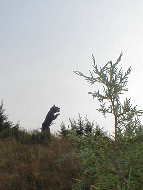 P8151702.jpg